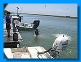 image14.jpg